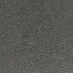Robert Allen Contract Brutus Slate 216827 Faux Leather Textures Collection Indoor Upholstery Fabric