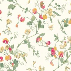 Cole and Son Sweet Pea Pink and Yellow 100-6027 Archive Anthology Collection Wall Covering