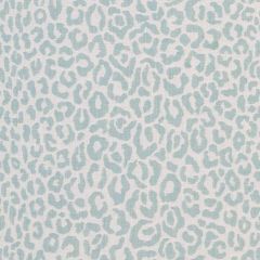 Kravet Kittykat Aquamarine 34265-1516 Sarah Richardson Harmony Collection Indoor Upholstery Fabric
