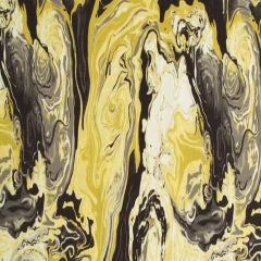 Robert Allen Medici Marble Ink 239544 Modern Archive Collection by DwellStudio Indoor Upholstery Fabric