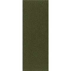 Kravet Basics Nuostrich 30 Indoor Upholstery Fabric