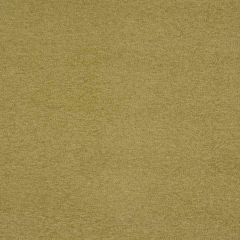 Robert Allen Pop Bk Flax 146056 Indoor Upholstery Fabric