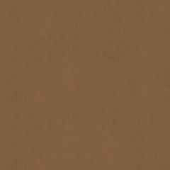 Old World Weavers Sensuede Cappucino AB 00051000 Essential Leathers / Suedes / Hides Collection Indoor Upholstery Fabric