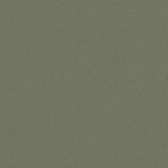 Old World Weavers Sensuede Pebble AB 00131000 Essential Leathers / Suedes / Hides Collection Indoor Upholstery Fabric