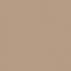 Old World Weavers Sensuede Cedar AB 05011000 Essential Leathers / Suedes / Hides Collection Indoor Upholstery Fabric