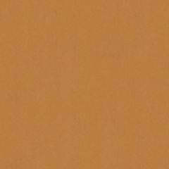 Old World Weavers Sensuede Acorn AB 10411000 Essential Leathers / Suedes / Hides Collection Indoor Upholstery Fabric