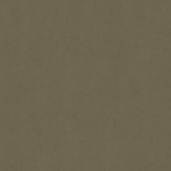 Old World Weavers Sensuede Verde AB 10461000 Essential Leathers / Suedes / Hides Collection Indoor Upholstery Fabric