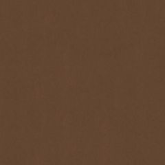 Old World Weavers Sensuede Cocoa AB 90641000 Essential Leathers / Suedes / Hides Collection Indoor Upholstery Fabric