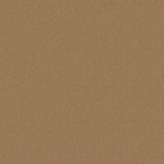 Old World Weavers Sensuede Latte AB 90651000 Essential Leathers / Suedes / Hides Collection Indoor Upholstery Fabric