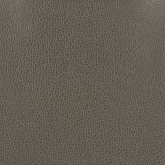Kravet Design Grey Gillian 21 Indoor Upholstery Fabric