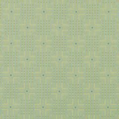 Duralee Celery 90943-533 Decor Fabric