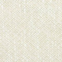 Stout Foundation Birch 3 No Boundaries Performance Collection Upholstery Fabric
