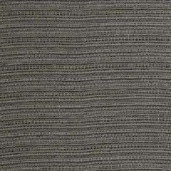 Robert Allen Contract Bremond Platinum 246932 Indoor Upholstery Fabric