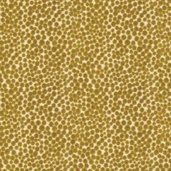 Kravet Polka Dot Plush Quince 32972-23 Indoor Upholstery Fabric