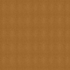 Kravet Moccasin Tan 606 Indoor Upholstery Fabric
