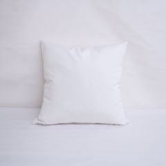Indoor/Outdoor Sunbrella Canvas Natural - 20x20 Throw Pillow