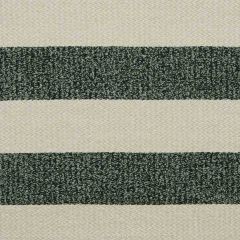 Beacon Hill Halifax Stripe-Ebony 214675 Decor Multi-Purpose Fabric