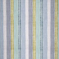 Robert Allen Mixed Tracks Calypso Blue 241550 Botanical Color Collection Indoor Upholstery Fabric