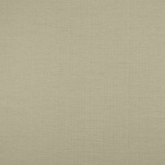 Clarke and Clarke Natural F1003-20 Savannah Collection Drapery Fabric