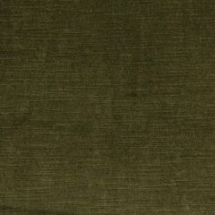 Robert Allen Savoy-Thyme 219853 Decor Upholstery Fabric