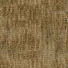 Kravet Contract Entangle Gold 9817-6 Wide Illusions Collection Drapery Fabric