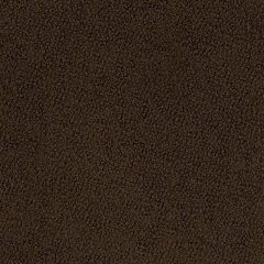 Perennials Very Terry Chocolate 980-11 Aquaria Collection Upholstery Fabric