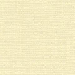 Kravet Basics White 33771-111 Perfect Plains Collection Multipurpose Fabric