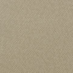 Robert Allen Kidskin Frost 195323 Indoor Upholstery Fabric
