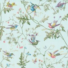 Cole and Son Hummingbirds Blue / Multi 100-14069 Archive Anthology Collection Wall Covering