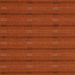Robert Allen Terminal Saffron 220789 Color Library Collection Indoor Upholstery Fabric