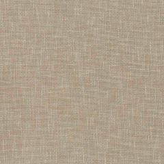 Robert Allen Lantana Truffle 508611 Epicurean Collection Multipurpose Fabric