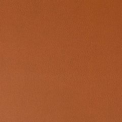 Kravet Contract Lenox Canyon 24 Indoor Upholstery Fabric