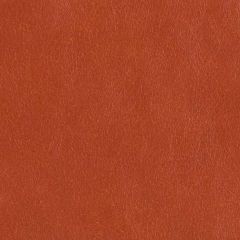 Kravet Couture 56926 Spice L-Cavesson by Barbara Barry Indoor Upholstery Fabric