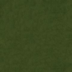 Kravet Design Green 33125-3030 Indoor Upholstery Fabric