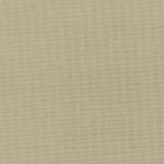 Stout Gorgeous Ash 25 Softer Side Faux Silk Collection Drapery Fabric