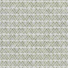 Thibaut Jules Flax AF78703 Palampore Collection Multipurpose Fabric