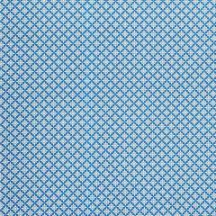 F Schumacher Serendipity Blue 177960 Clique Collection Indoor Upholstery Fabric