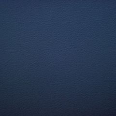 Aldeco Storm Fr Denim Blue A9 0012STOR Bloom Collection Contract Upholstery Fabric