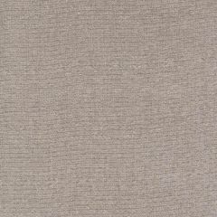 Robert Allen Easy Chenille Driftwood Performance Chenille Collection Indoor Upholstery Fabric