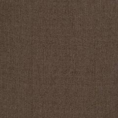 Robert Allen Easy Tweed Espresso 247052 Tweedy Textures Collection Indoor Upholstery Fabric