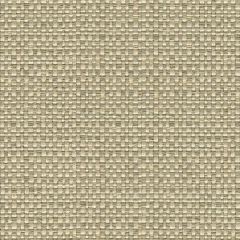Kravet Enthusiasm Platinum 31877-11 by Candice Olson Indoor Upholstery Fabric