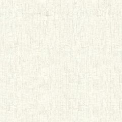 Kravet Basics White 33198-1 Perfect Plains Collection Multipurpose Fabric