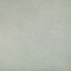 Kravet Contract Agatha Pearl -1  Indoor Upholstery Fabric