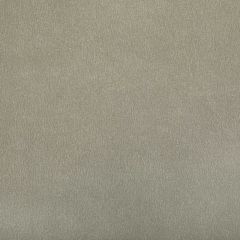 Kravet Contract Agatha Mica 1611 Indoor Upholstery Fabric