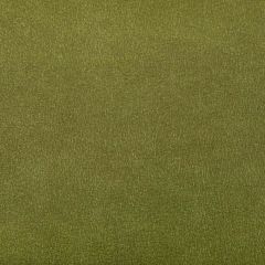 Kravet Contract Agatha Cactus 23 Indoor Upholstery Fabric