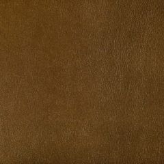 Kravet Contract Agatha Inca 404 Indoor Upholstery Fabric