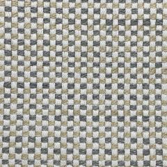 Patio Lane Alma Champagne Waterview Collection Upholstery Fabric