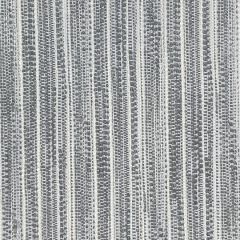 Patio Lane Althea Silver Waterview Collection Upholstery Fabric