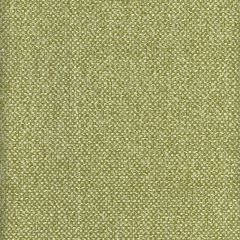 Kravet Couture Yosemite Meadow Am100332-3 Canyon Collection by Andrew Martin Indoor Upholstery Fabric