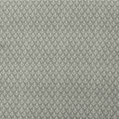 Kravet Couture Bud Cloud Am100379-11 by Andrew Martin Garden Path Collection Multipurpose Fabric